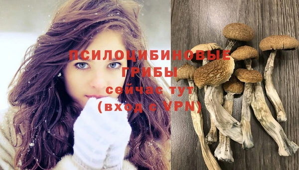 соль курить ск Красноперекопск