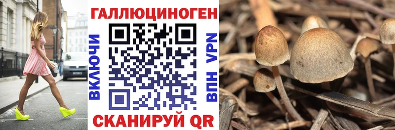 Купить закладки  Заринск  Галлюциногенные грибы GOLDEN TEACHER 